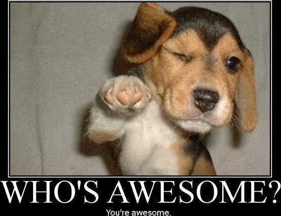 awesome-meme